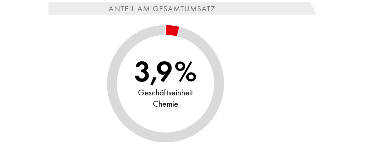 Anteil am Gesamtumsatz